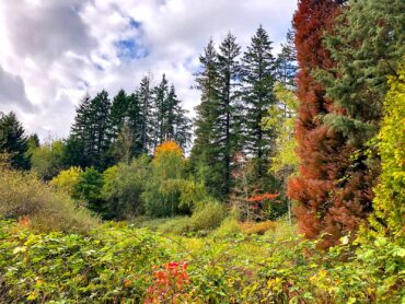 Sam Rader's Gardening Gold Mine