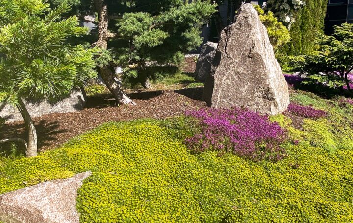 A Garden of Pure Joy