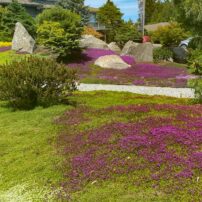 A Garden of Pure Joy