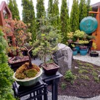 A Garden of Pure Joy