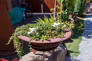 A Garden of Pure Joy