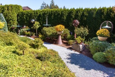 A Garden of Pure Joy