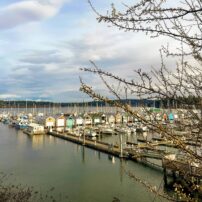 Brownsville marina