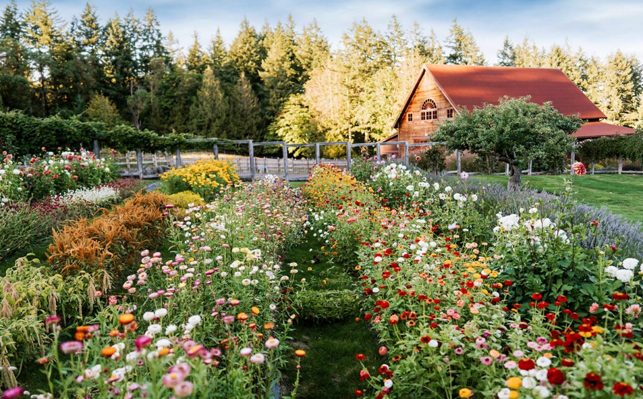 Chef Tad Mitsui of Heyday Farm House