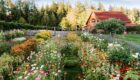 Chef Tad Mitsui of Heyday Farm House