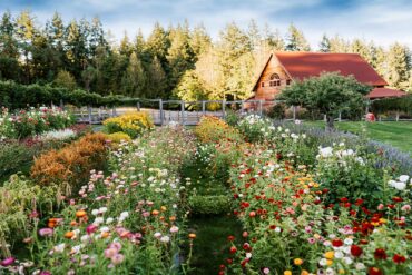 Chef Tad Mitsui of Heyday Farm House