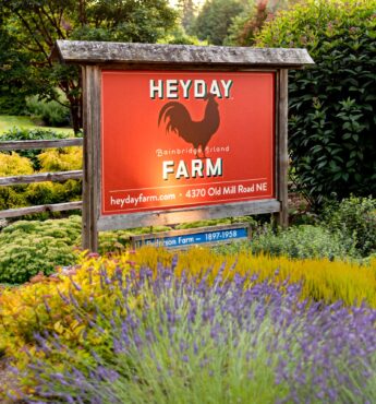 Chef Tad Mitsui of Heyday Farm House