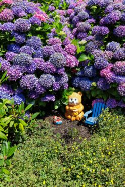 Hansville Garden