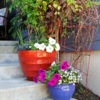 Hansville Garden