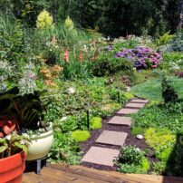 Hansville Garden