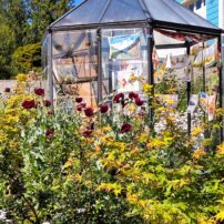 Hansville Garden (Photograph courtesy Peg Tillery)