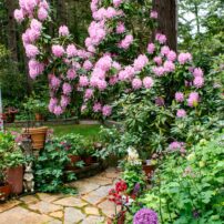 Jill and Michael Betts Garden