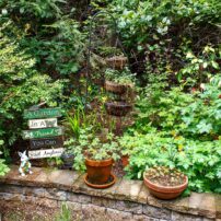 Jill and Michael Betts Garden