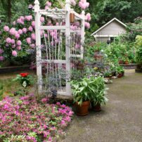 Jill and Michael Betts Garden