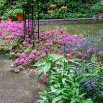 Jill and Michael Betts Garden