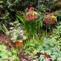 Jill and Michael Betts Garden