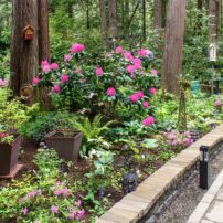 Jill and Michael Betts Garden