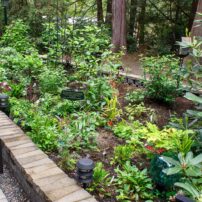 Jill and Michael Betts Garden