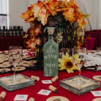 Kitsap Wine Festival