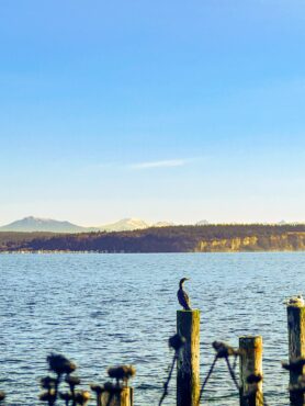 Norwegian Point Park