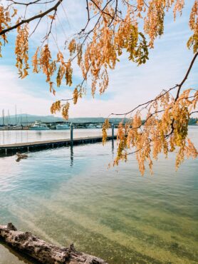 Port Orchard boat launch