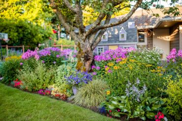 Cora Reuter Garden