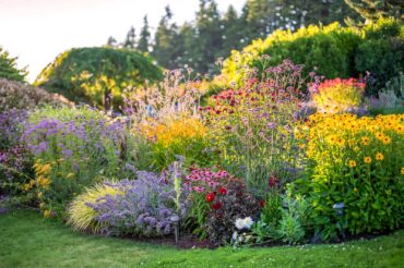 Cora Reuter Garden