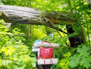 Nonprofit Spotlight - Wild Society