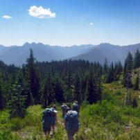 Nonprofit Spotlight - Wild Society