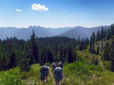 Nonprofit Spotlight - Wild Society