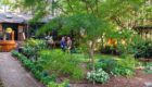 Dortha Murker Shade Garden