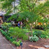 Dortha Murker Shade Garden