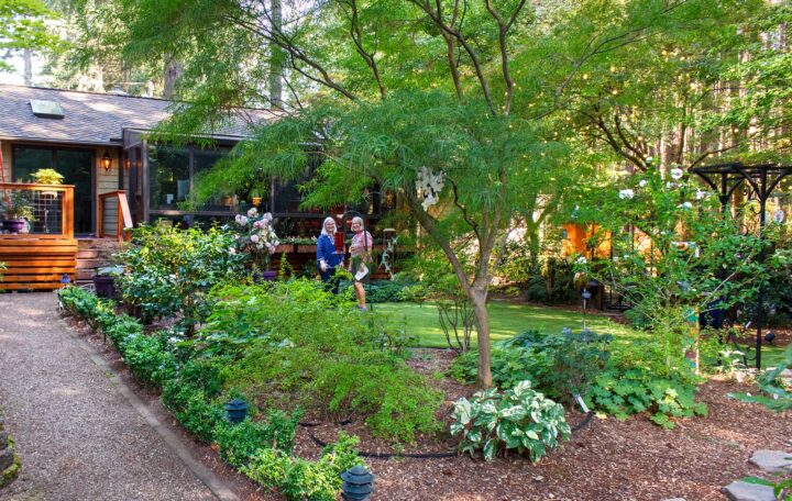 Dortha Murker Shade Garden