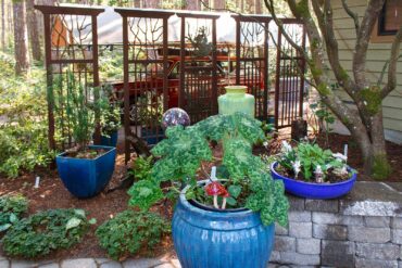 Dortha Murker Shade Garden
