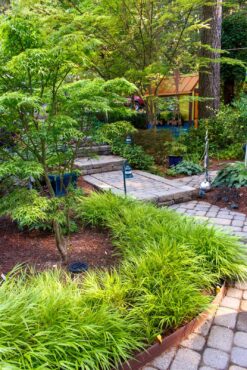 Dortha Murker Shade Garden