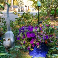 Dortha Murker Shade Garden