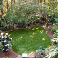 Dortha Murker Shade Garden
