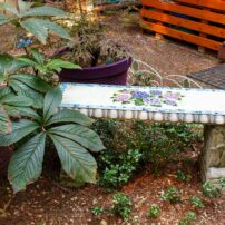 Dortha Murker Shade Garden