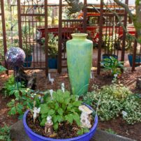 Dortha Murker Shade Garden