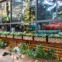 Dortha Murker Shade Garden