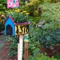 Dortha Murker Shade Garden