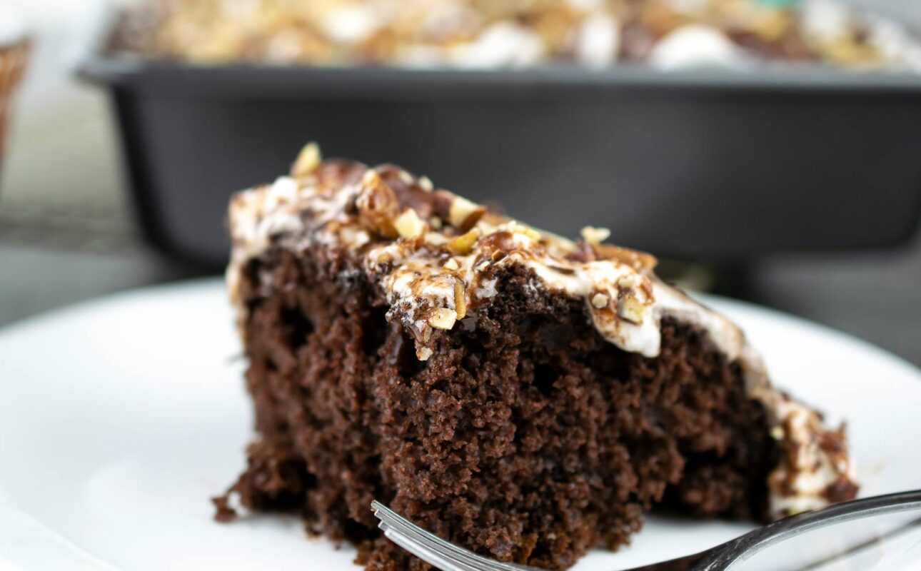 Mississippi Mud Cake