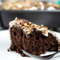 Mississippi Mud Cake