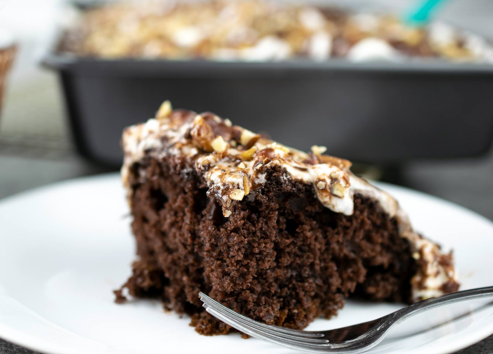 Mississippi Mud Cake