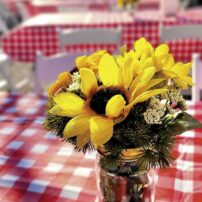 Community Scene - Soroptimists Barn Dance