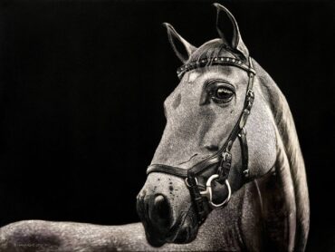 “Proud Mary,” 20-by-16