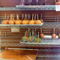 Sweets for the Sweets 2025