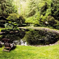 Garden of Raymond and Rosemary Nye