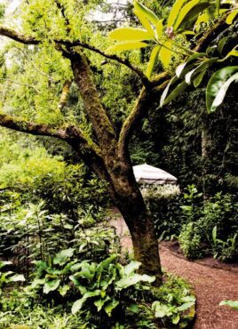 Garden of Raymond and Rosemary Nye