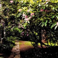 Garden of Raymond and Rosemary Nye